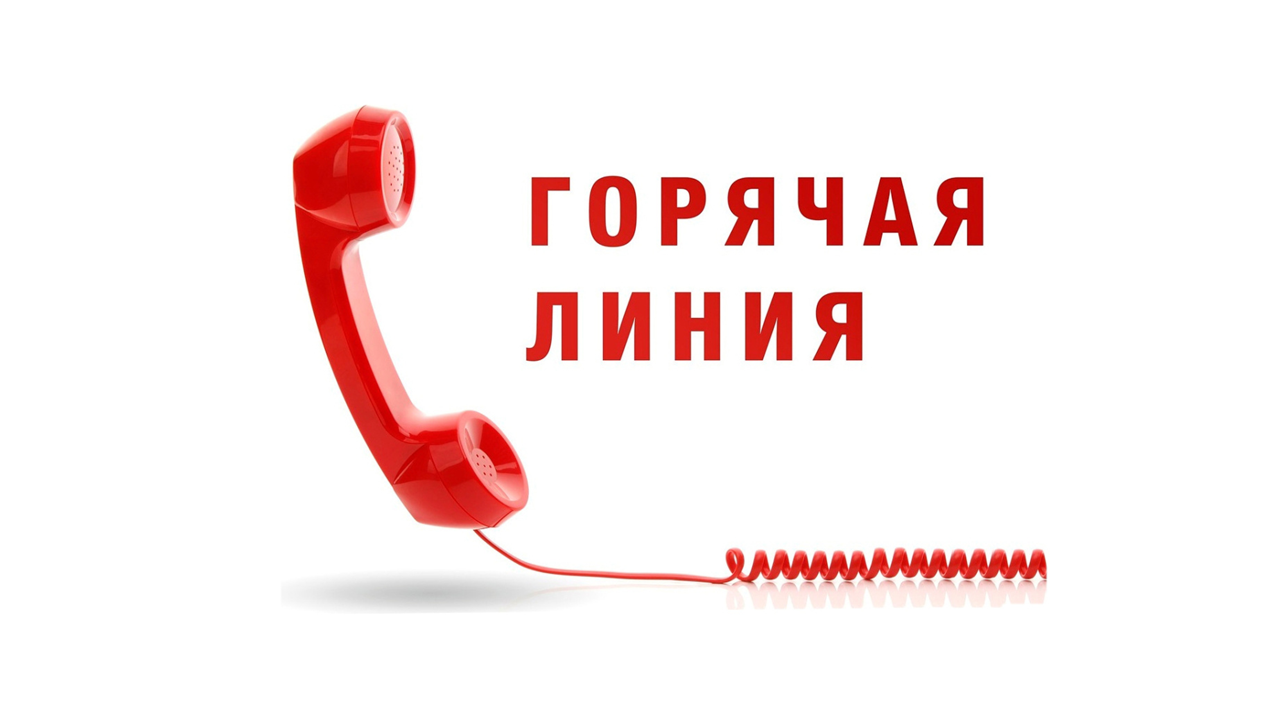 Об открытии в Управлении Роспотребнадзора по Воронежской области «горячей линии»  по профилактике клещевого вирусного энцефалита и инфекций, передающихся клещами.